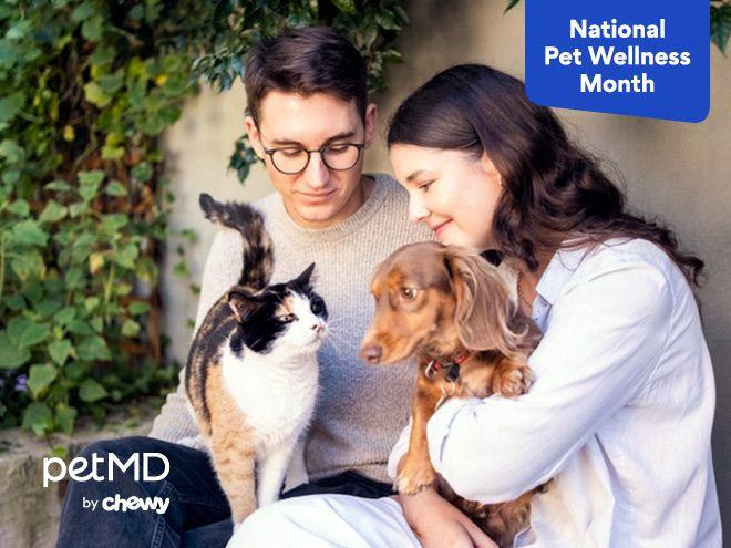 woman and man holding dog and cat